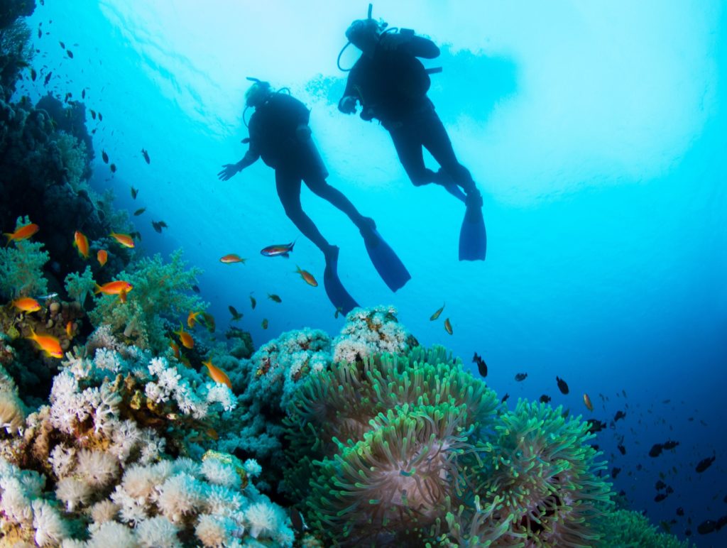 Diving Great Barrier Reef