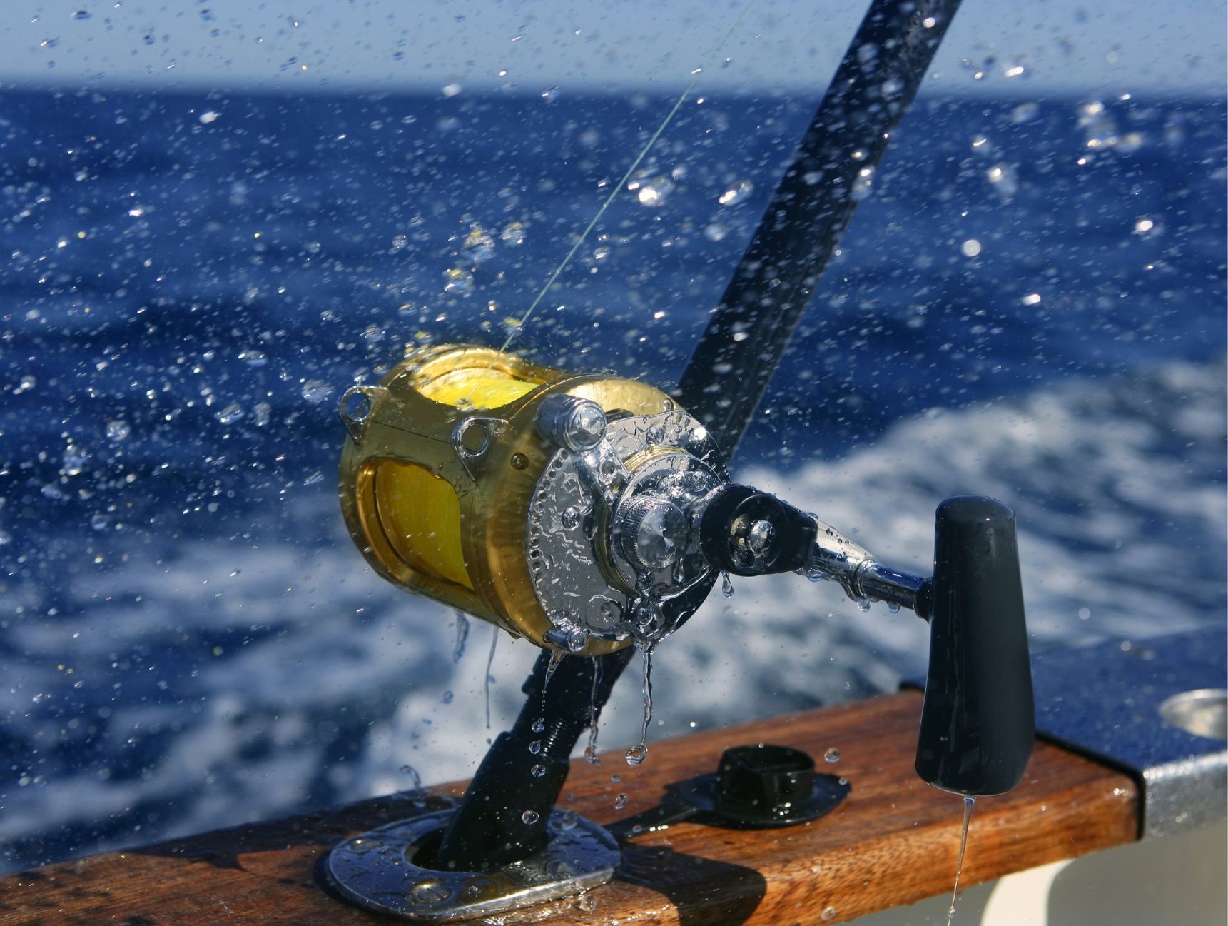 Fishing Charters - Phoenix One