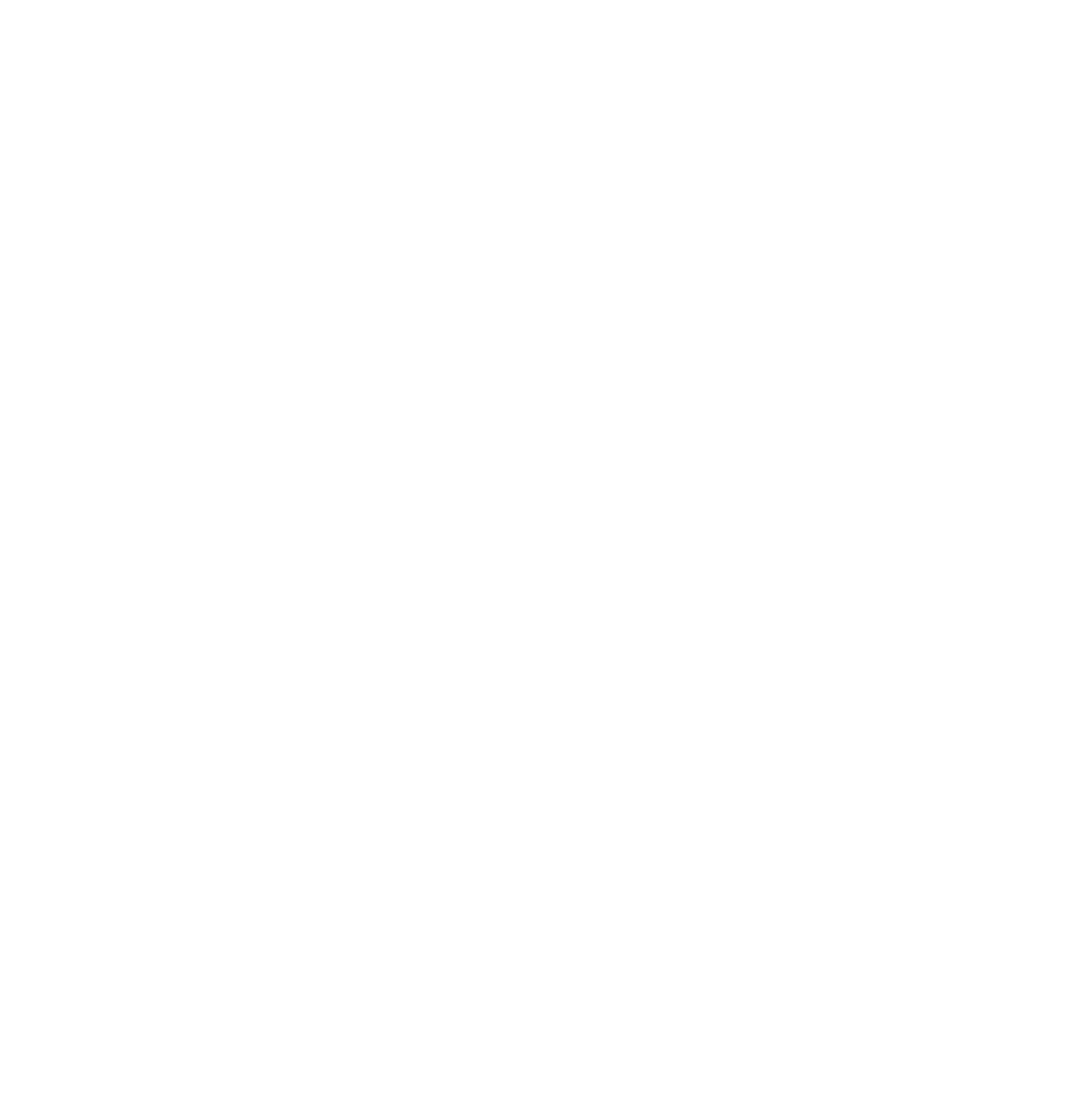 Phoenix One