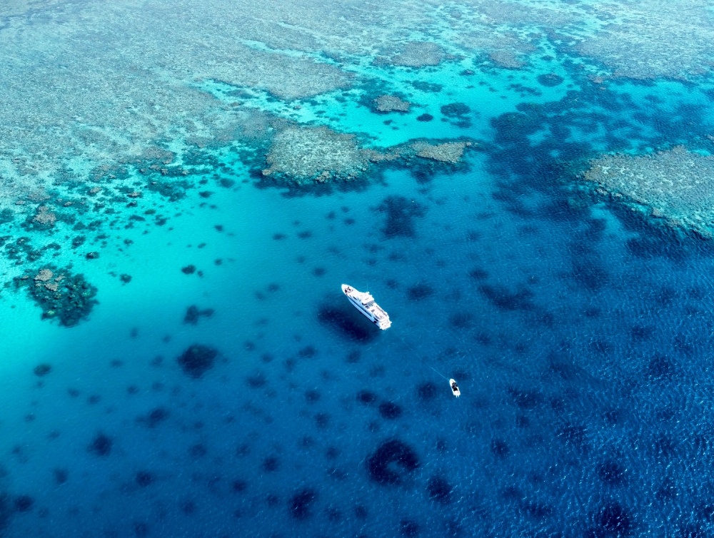 Great Barrier Reef Fishing Charter on Phoenix One