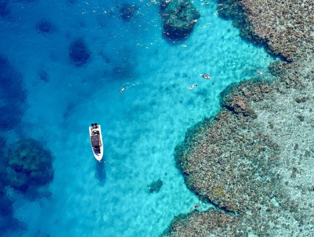 Swain Reefs Fishing Charter on Phoenix One