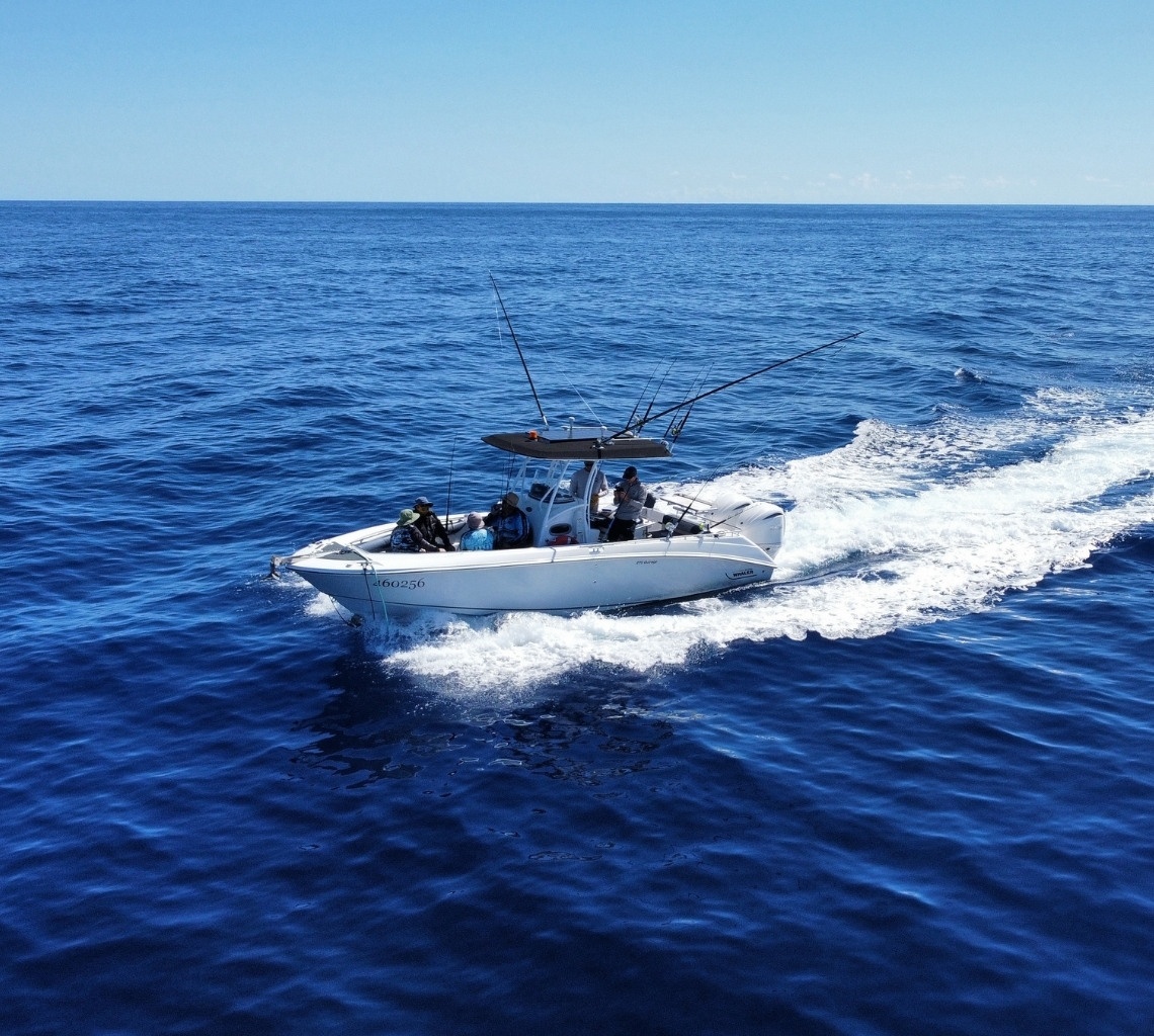 The Whaler Fishing Charter